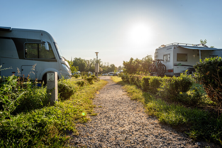 Camping-Katzenkopf-Komfortplatz